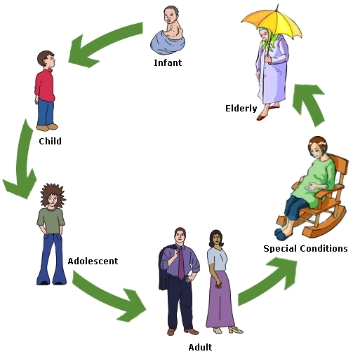 img_lifecycle.jpg