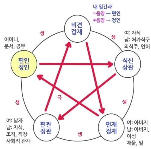 육친_인성.jpg