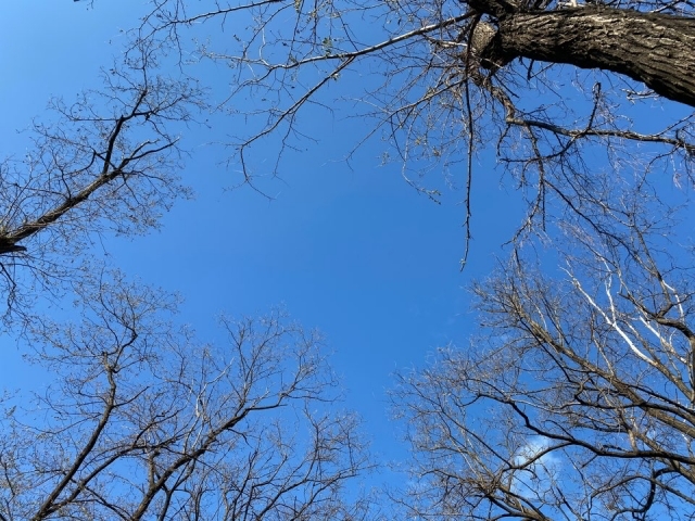 KakaoTalk_20191128_172740534.jpg